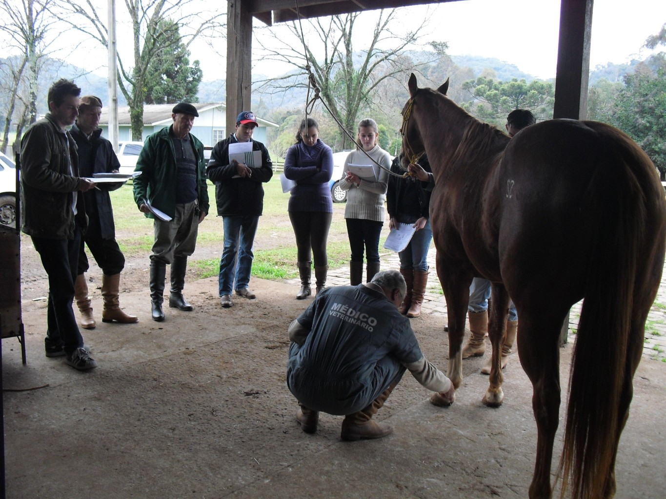 Curso de Manejo Equino